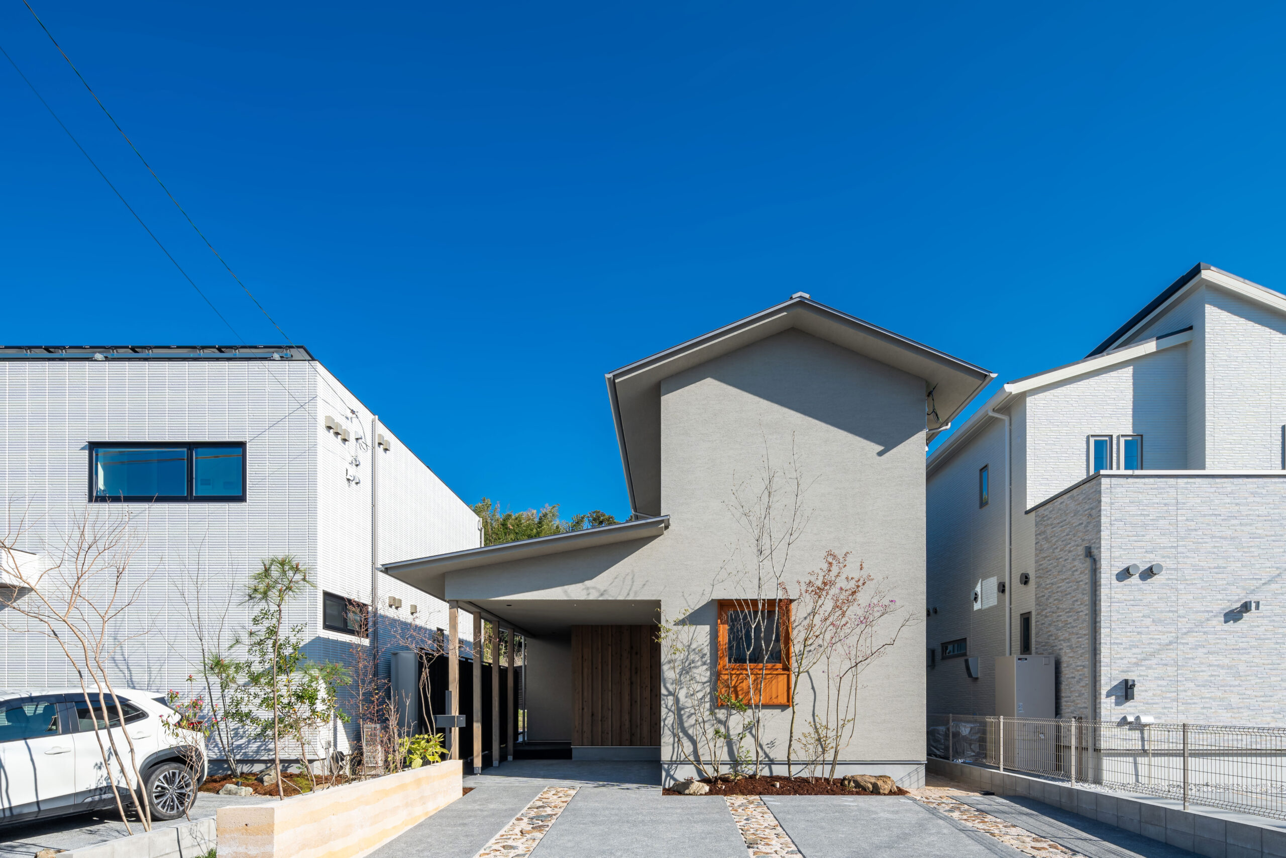 こけ庭づくりワークショップ